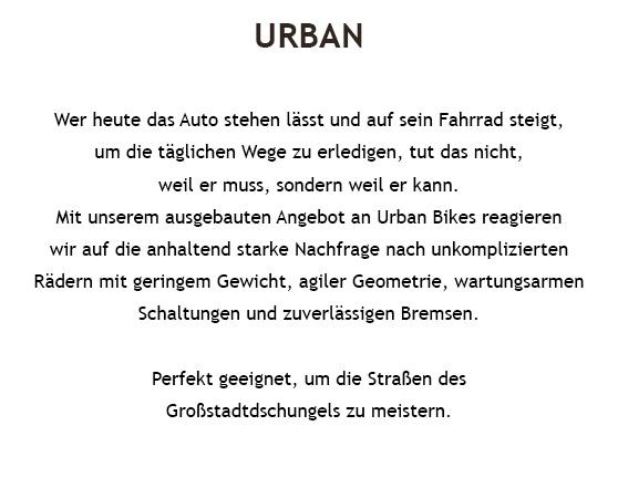 Reparatur im Raum Halle (Saale)